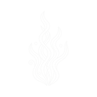 Kelp